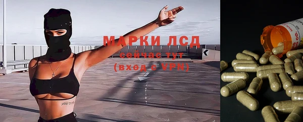 mdpv Арсеньев