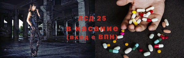трава Аркадак