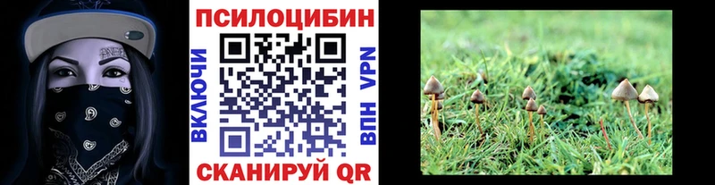 хочу наркоту  Шадринск  Галлюциногенные грибы прущие грибы 